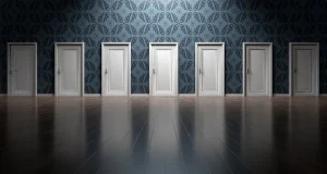 This image shows many doors in a hallway leading to multiple possible locations.